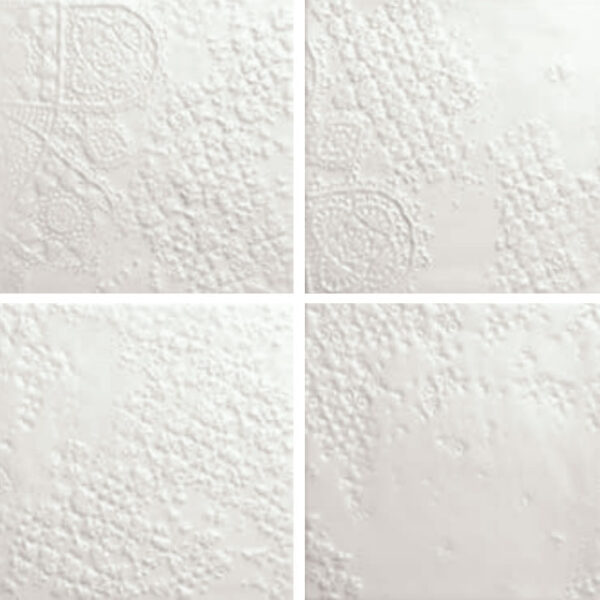 Bucchero Range Wall Tiles | Bianco | Melbourne | Essendon | Sunbury | Luscombe Tiles
