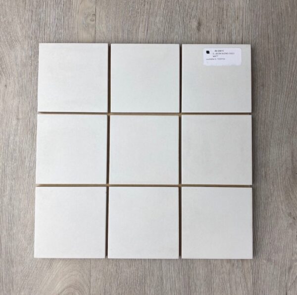 D SEGNI BLEND 100X100MM | Floor Tiles Floor & Feature Tiles | Sunbury | Essendon | Melbourne | Luscombe Tiles